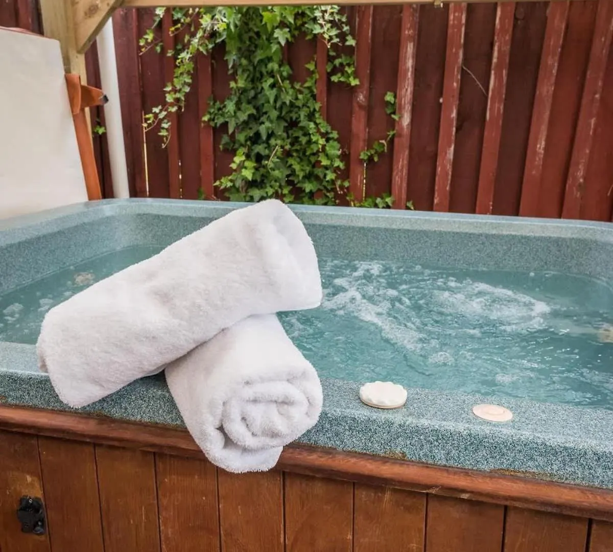 Beez Kneez Villa Rotorua Holiday home